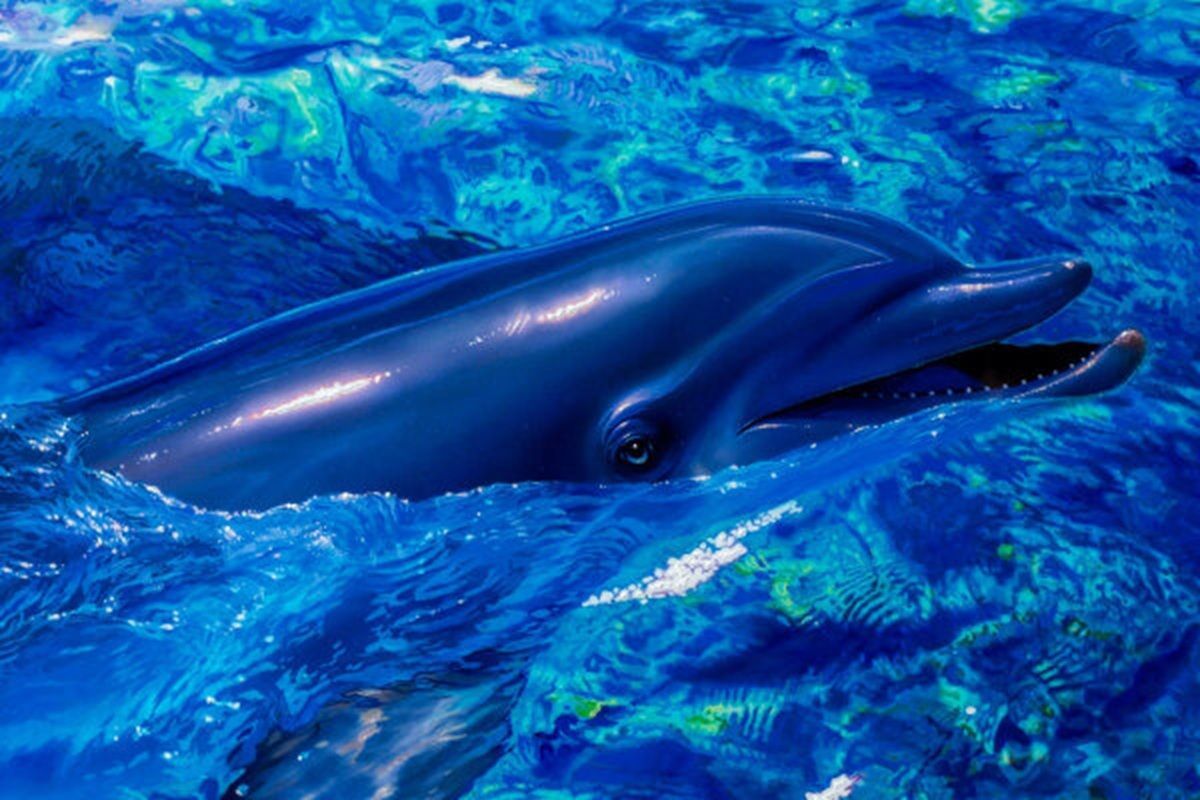 クリスチャン リース ラッセン トゥギャザネス L | アールビバン保証書付