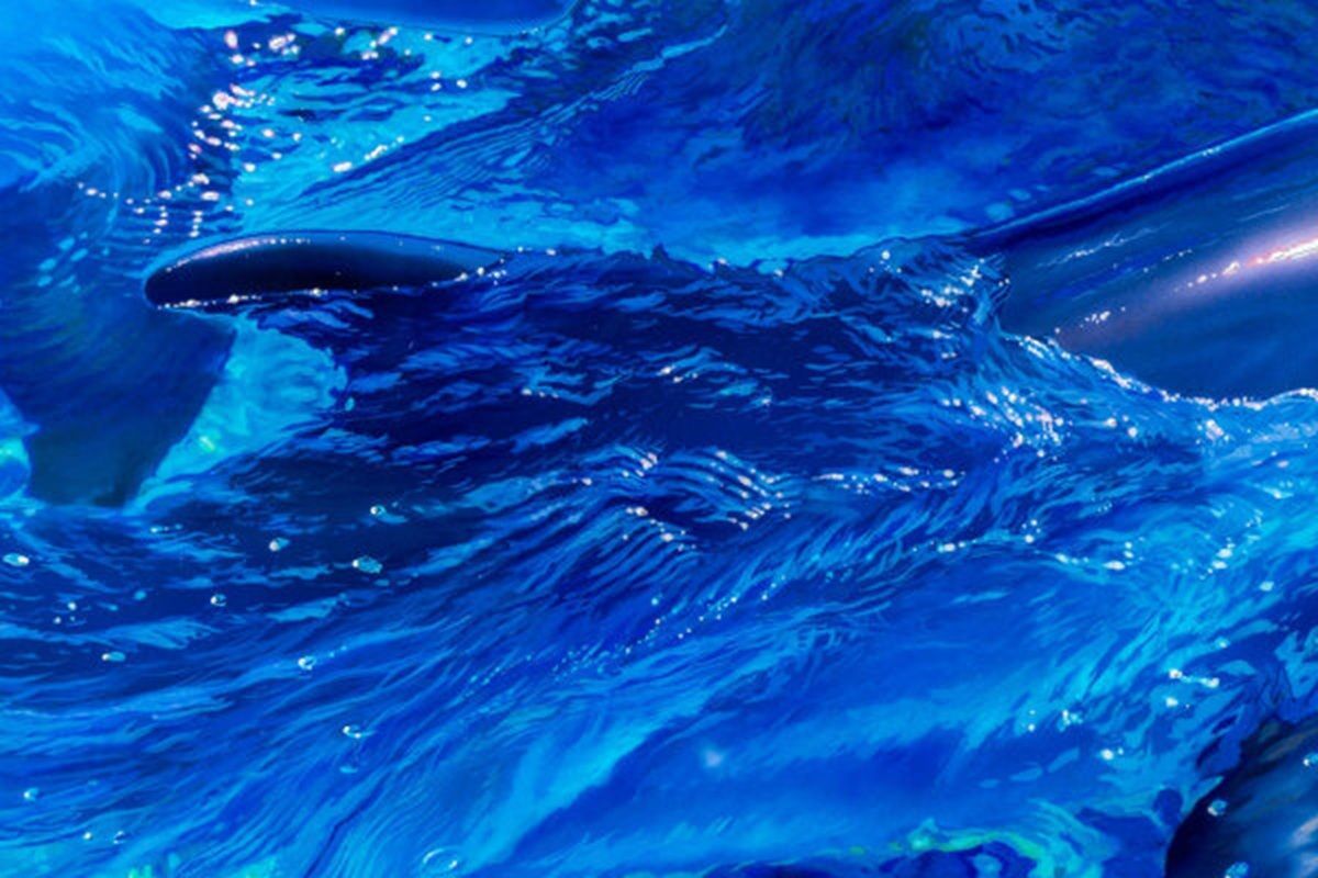 クリスチャン リース ラッセン トゥギャザネス L アールビバン保証書付