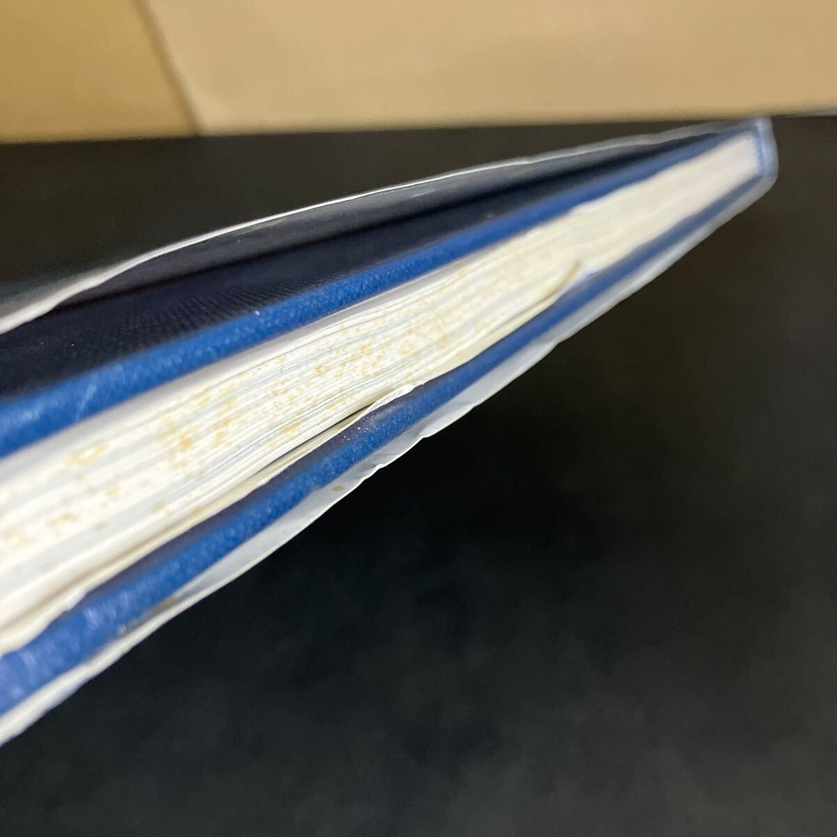  Carrier War Aviation Art of World II Paul Stillwell 画集 イラスト 洋書 空母 戦艦 趣味 スポーツ 実用 本