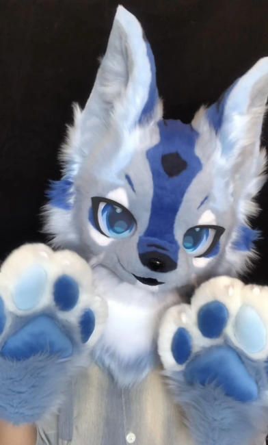 ファースーツ 着ぐるみセット NO.272 犬 青 紺色 ケモノ ファースーツ 全頭ヘッド ぬいぐるみ コスプレ コスチューム kigurumi