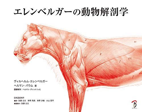 エレンベルガーの動物解剖学 ヴィルヘルム エレンベルガー