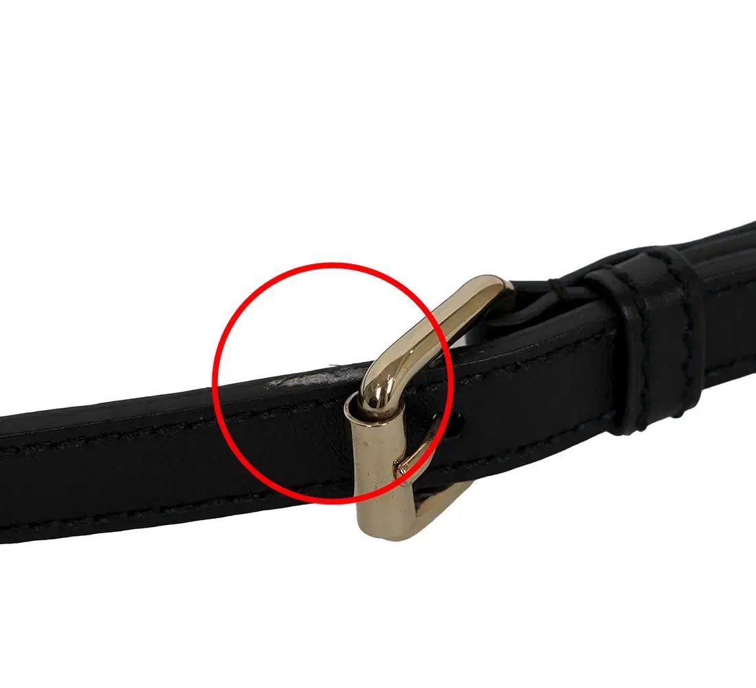 マイクロシマ ドーム