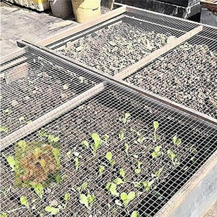 ステンレス平織金網