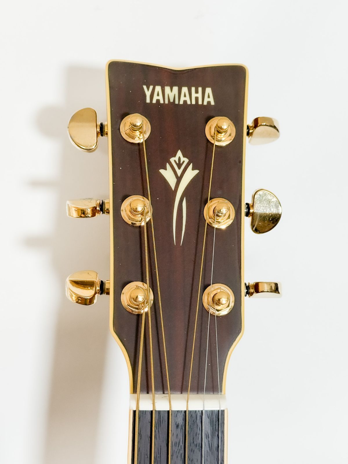 ハードケース付属一式 アコースティックギター