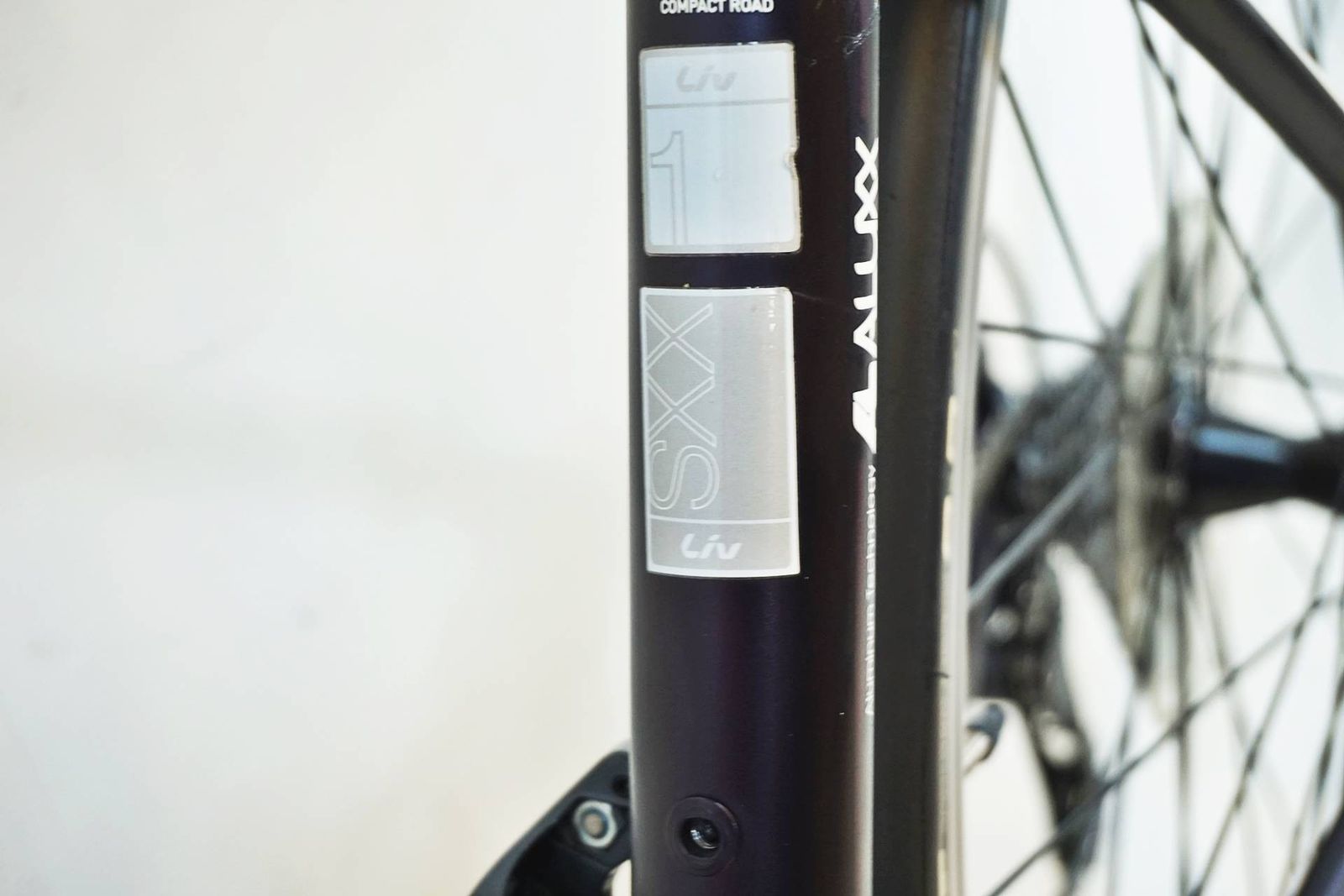 2017年モデル レディース