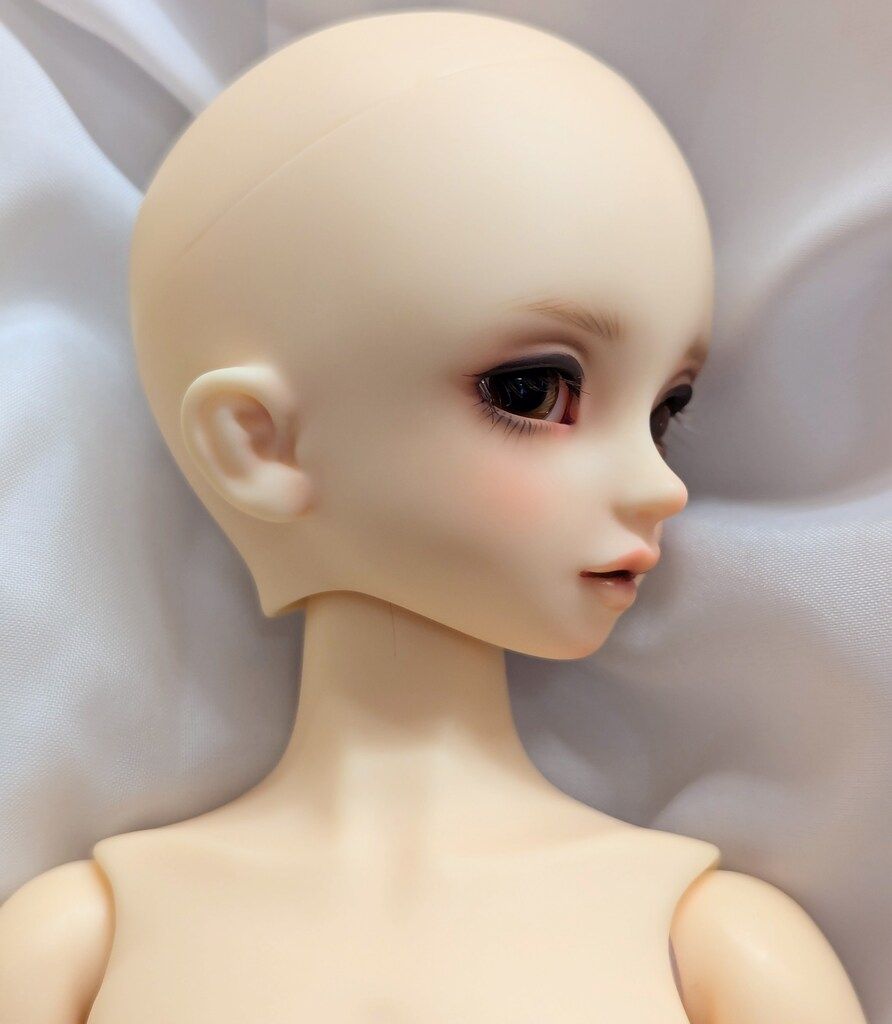 コーディネートモデル F-46