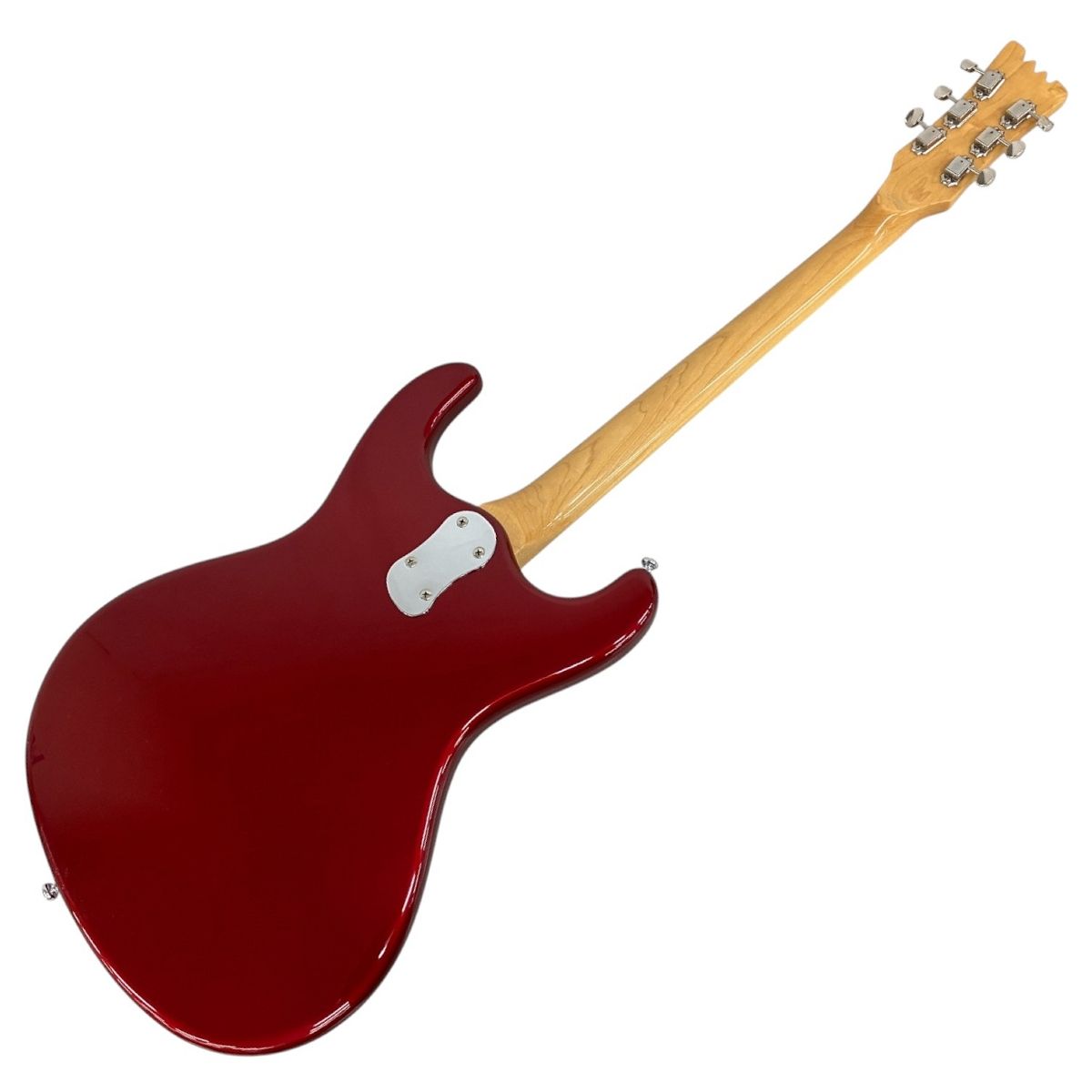 ハードケース付き