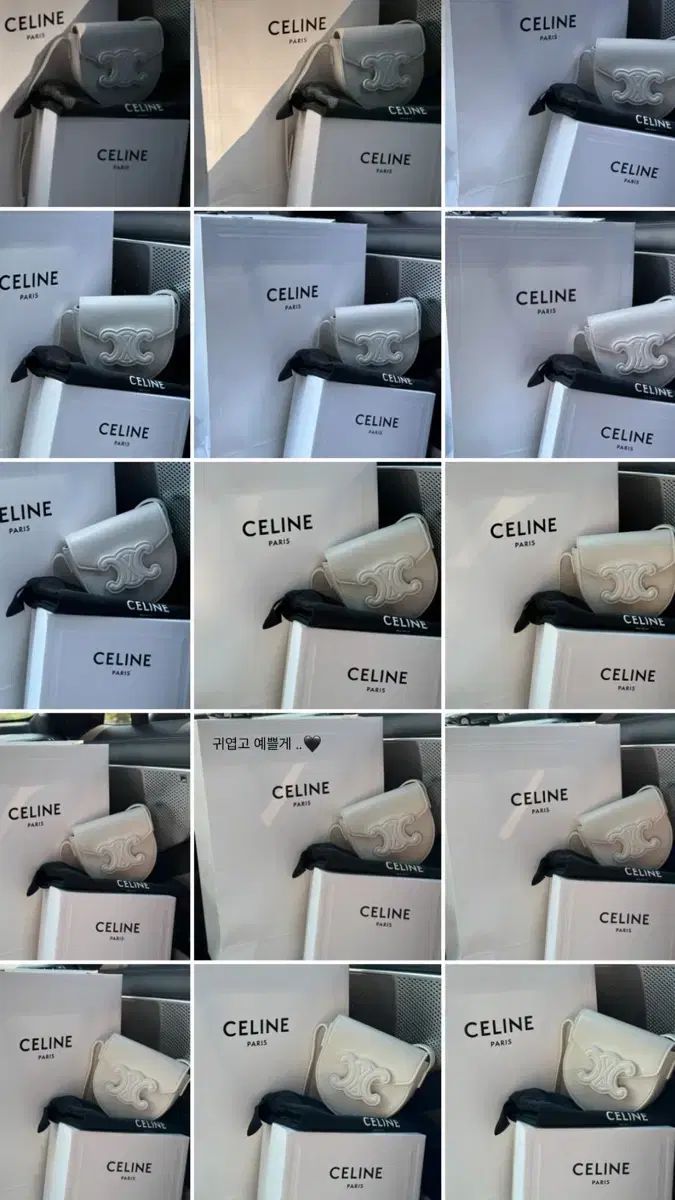 Celine セリーヌ 르 퀴르 ミニ ベサチェ