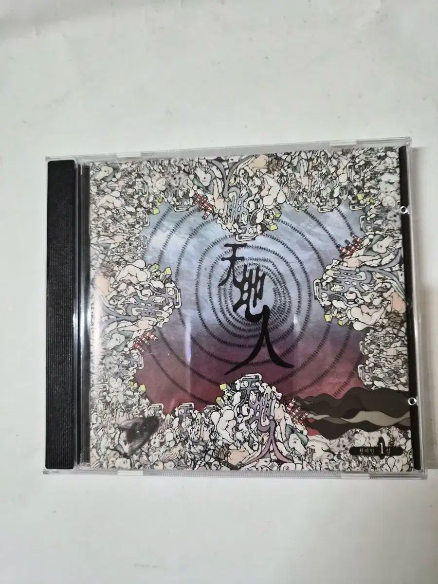 天地人 1 家 ミントグレード cd 投稿してみます