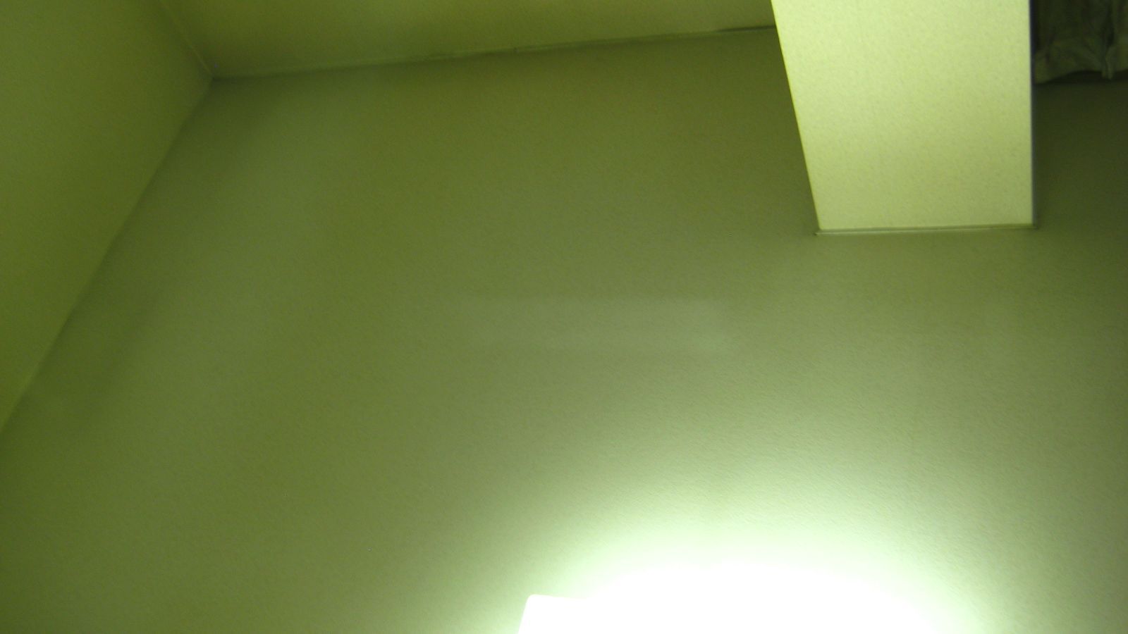 TSF-D124PR|WA ホワイト