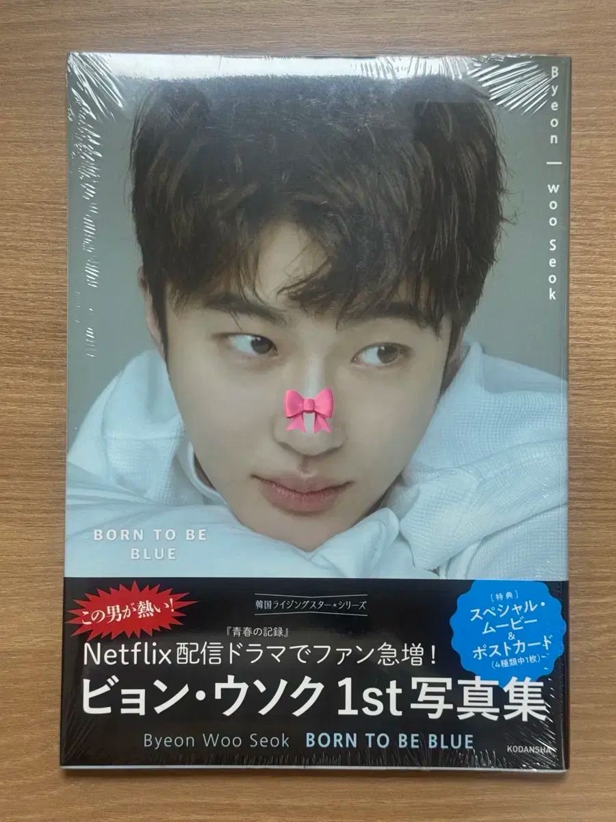 未開封 ビョンウソク フォトブック PHOTOBOOK Born to be Blue ボーン トゥービー ブルー