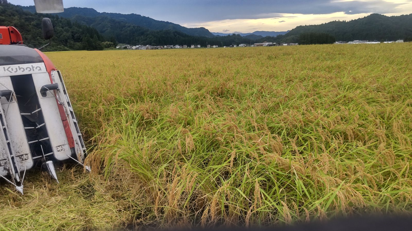 南魚沼産新之助 無洗米10kg