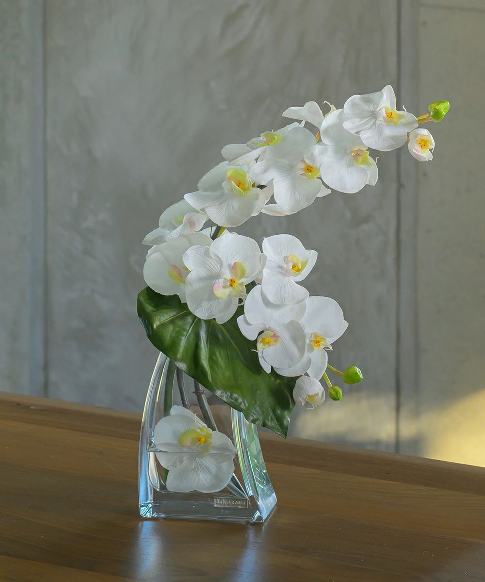 造花 胡蝶蘭 コチョウラン ファレノプシスL アレンジメント インテリア アーティフィシャルフラワー アレンジ 白 ホワイト