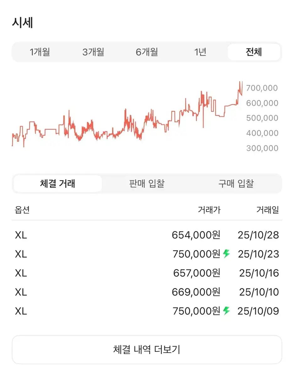 ARC TERYX アトム LT フーディ XL