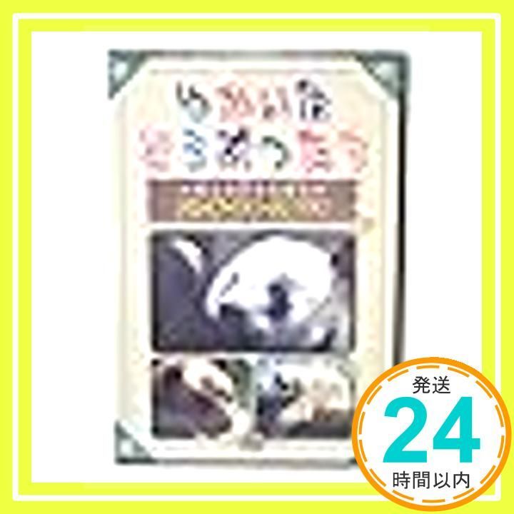 ゆかいなどうぶつたち ～りくのおともだち～ パンダ クマ ソロクマ_02