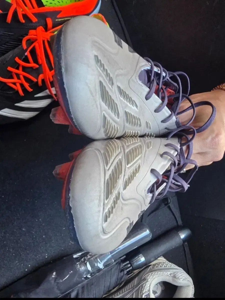 アディダス プレデター エリート 255 LLC-HASEGAWATOSO_COM