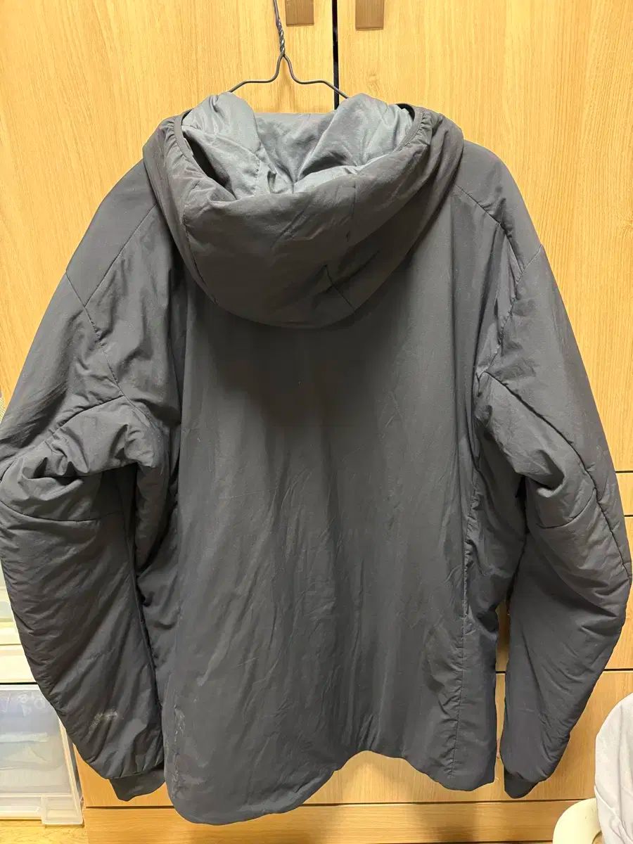 ARC TERYX アークテリクス プロトンlt