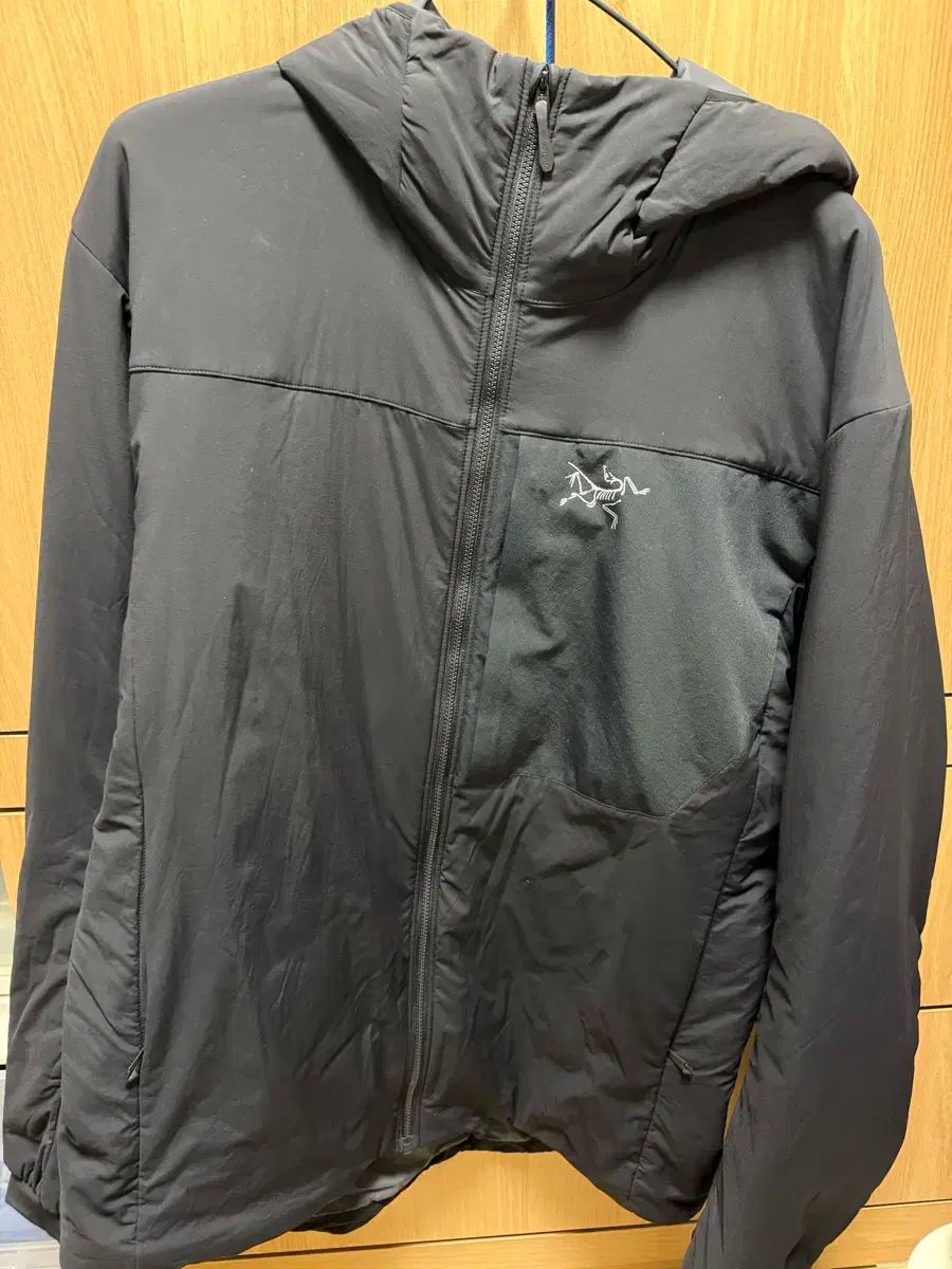 ARC TERYX アークテリクス プロトンlt