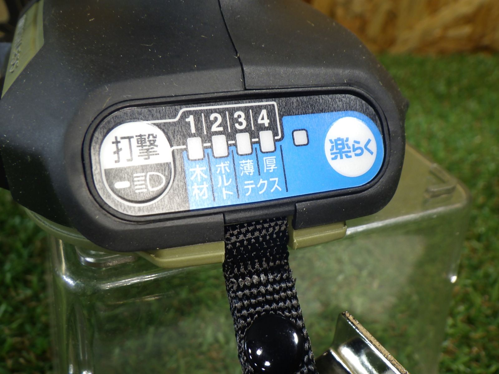 人気のオリーブ