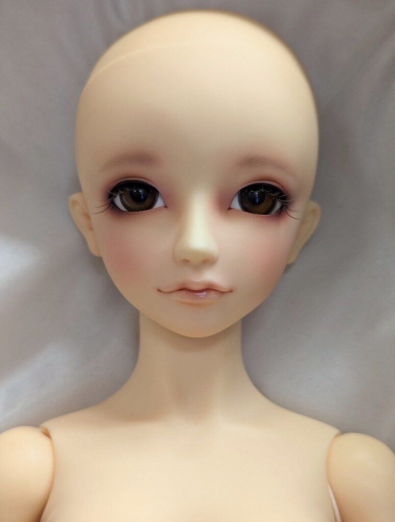 ボークス フルチョイス