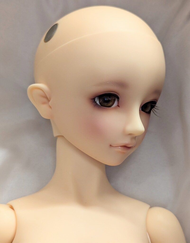 ボークス フルチョイス