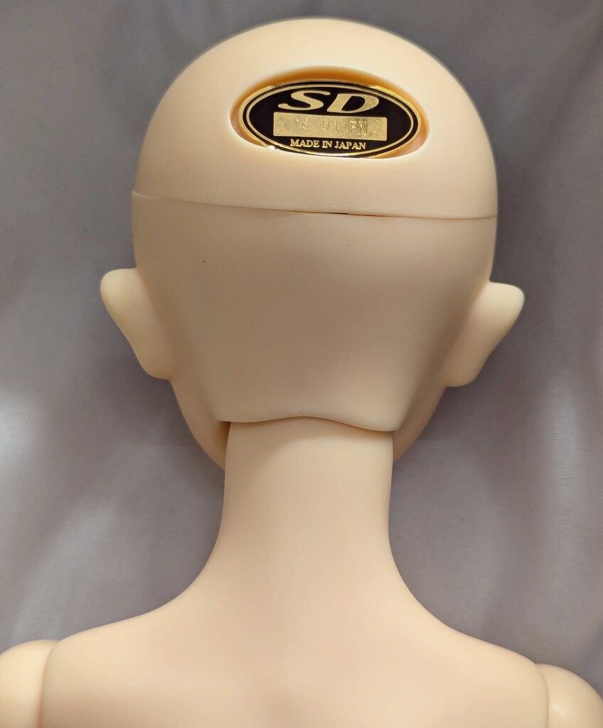 ボークス フルチョイス SD13女の子 二重ひじ関節 F-56 ノーマル肌 WWW_STEELWINDOWSANDDOORS_COM