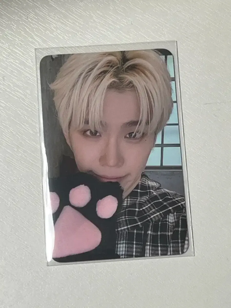Kim Taerae - ZEROSE Fanmeeting Fanmeeting photocard photocard