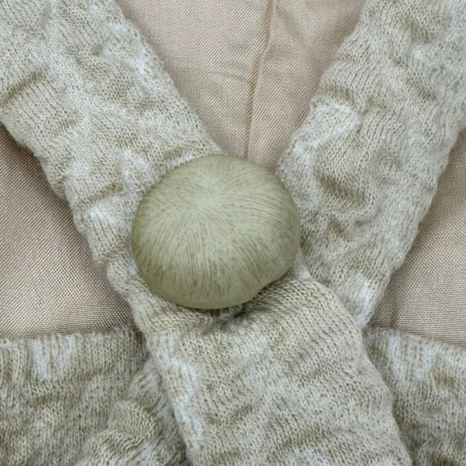 Mサイズ程度 ベージュ