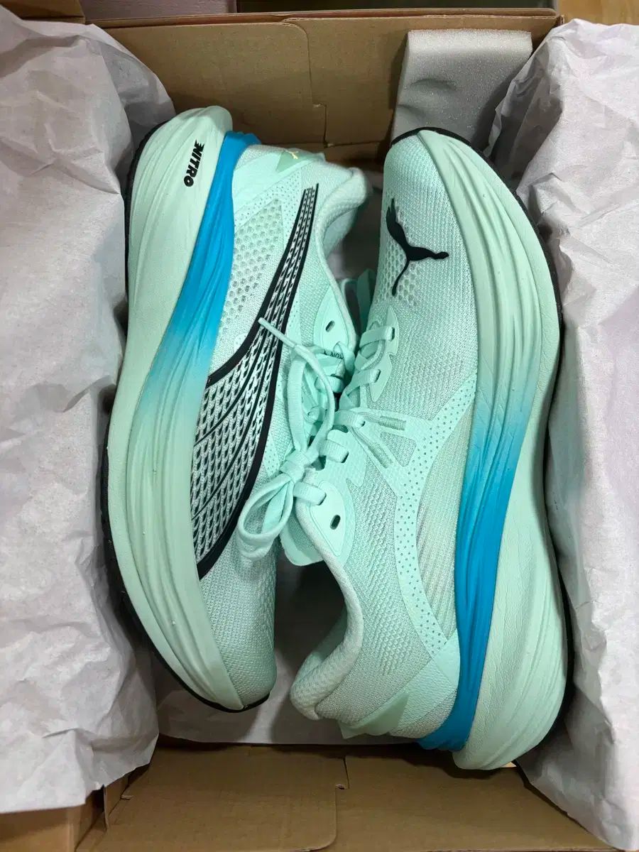 プーマ ディベート ナイトロ3 255