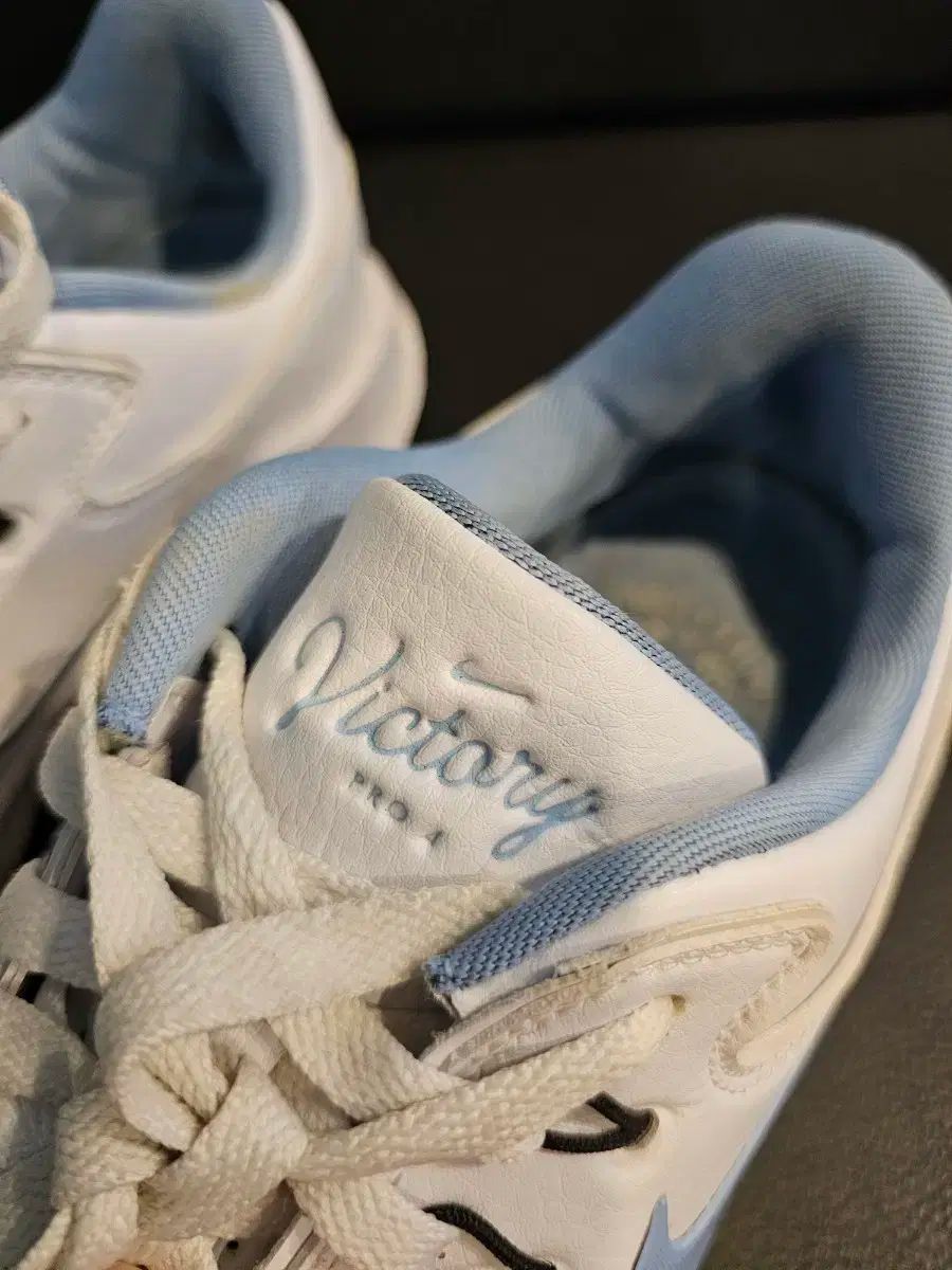 ナイキ ヴィクトリー プロ 4 ゴルフシューズ