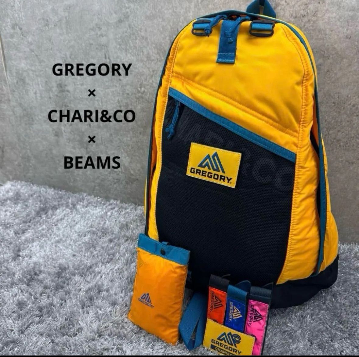 美品】GREGORY×CHARI&CO×BEAMS 別注 DAYPACK リュック