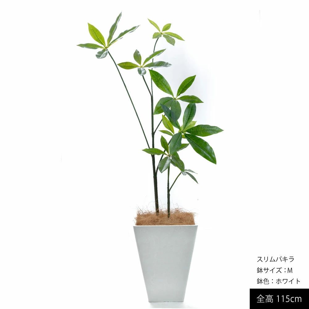 フェイクグリーン 観葉植物 パキラ 大型 スリム 光触媒 CT触媒 本物そっくり 人工観葉植物 おしゃれ リアル 造花 インテリア オシャレ 北欧 FRP 樹脂 消臭 抗菌 リビング 人工樹木 鉢植え 玄関 お祝い 開店祝い