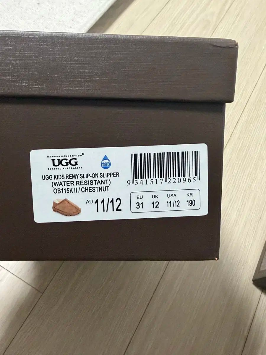  アグ レミ スリッポン チェスナット 11 12 190 その他 キッズシューズ