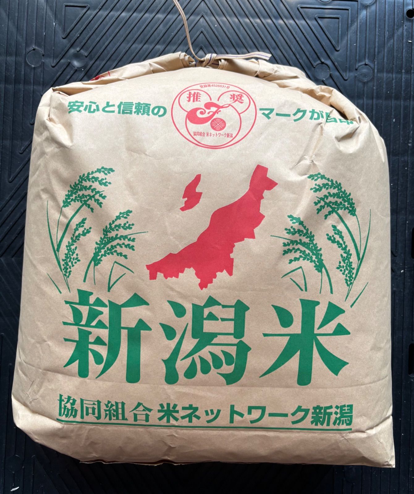 新米新潟県産こしいぶき玄米1等20kg