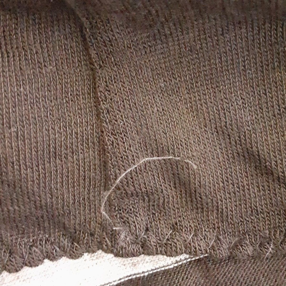  イタリヤ チュニック サイズ11 M レディース - ダークブラウン×ベージュ クルーネック 半袖 ボーダー ラインストーン シマウマ 半袖 チュニック