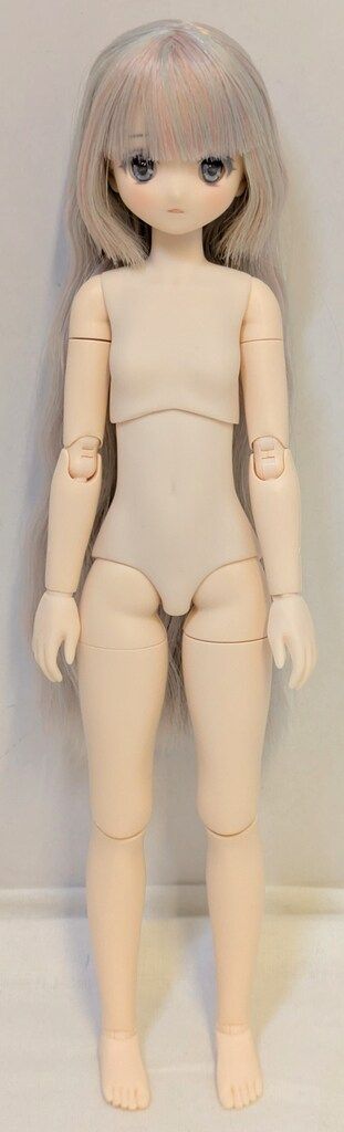 オビツ製作所×アゾン 尾櫃制服計画 上村瑛理 鏡の国のアリスメイド