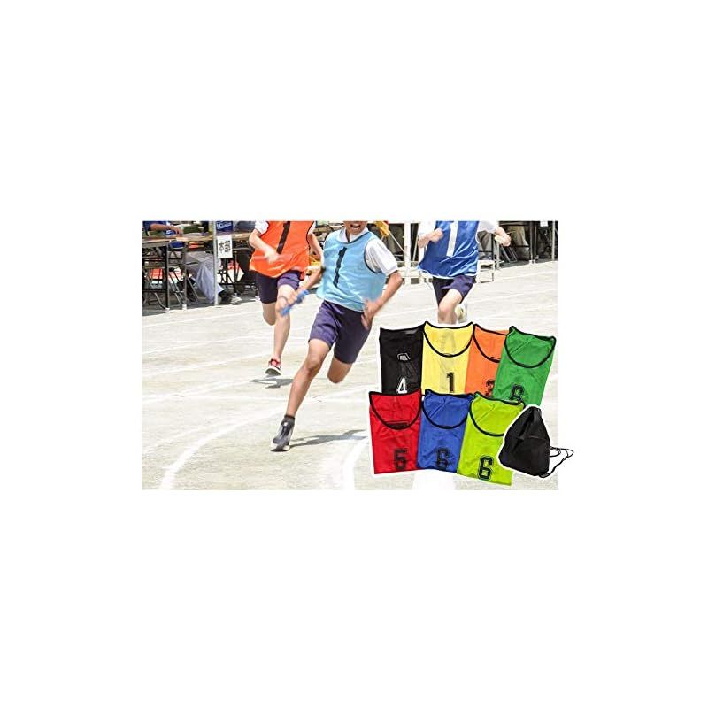 ロジック ビブス セット ゼッケン 収納バッグ付き 番号入り メッシュ サッカー バスケ フットサル 学校 行事 自治体 運動会 22枚セット 大人用 レッド