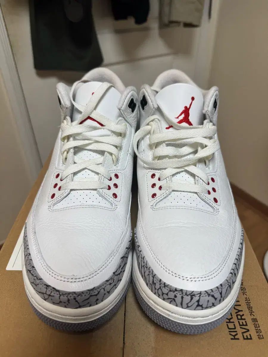 ホワイト セメント