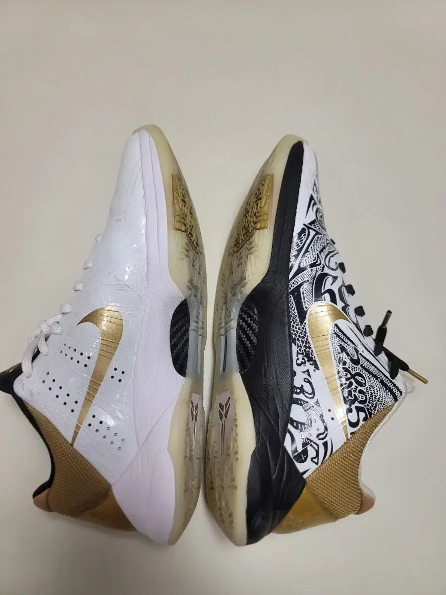 コービー5 ビッグステージ