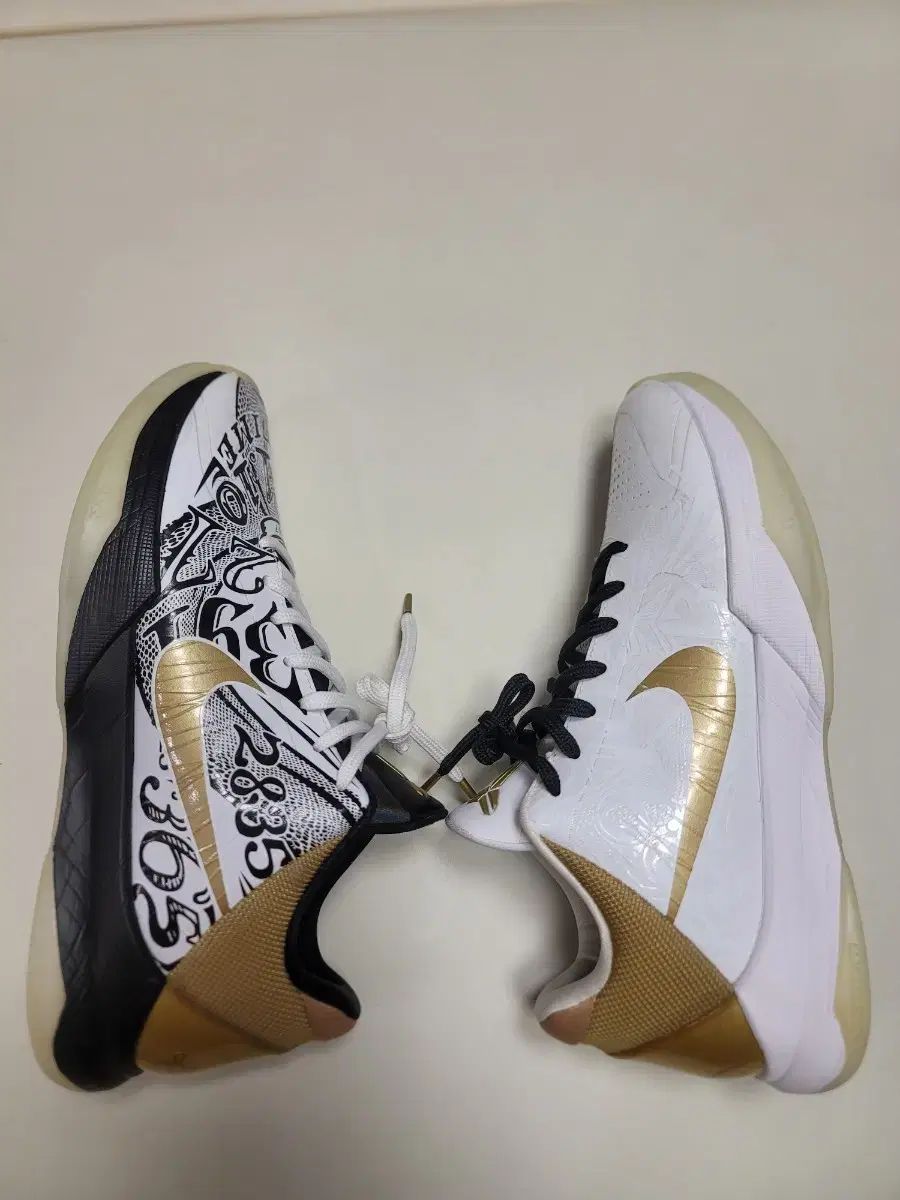  275 コービー5 ビッグステージ シューズ(男性用) バスケットボール