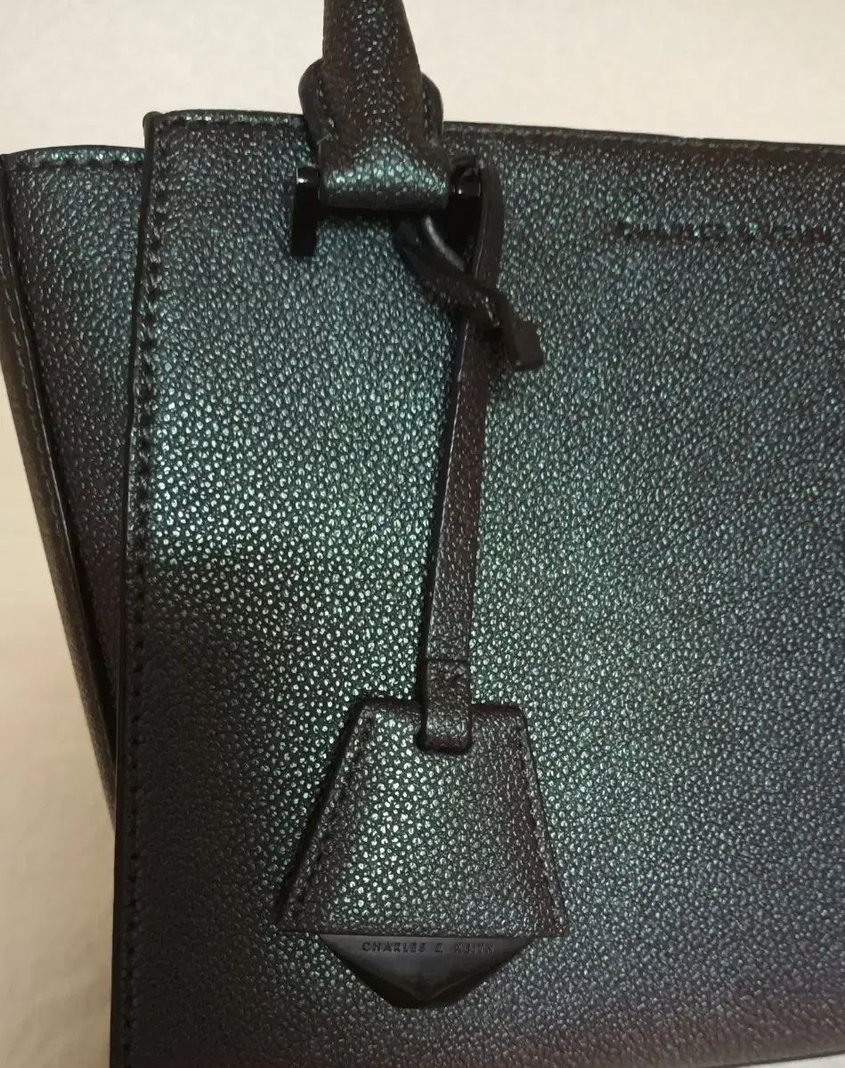 チャールズアンドキース バッグ シティバック トートバッグ クロスバック DECORATOM_COM_BR