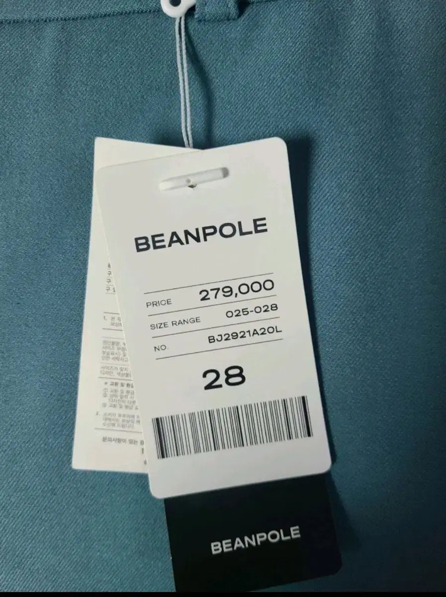 グリーン ベーシック