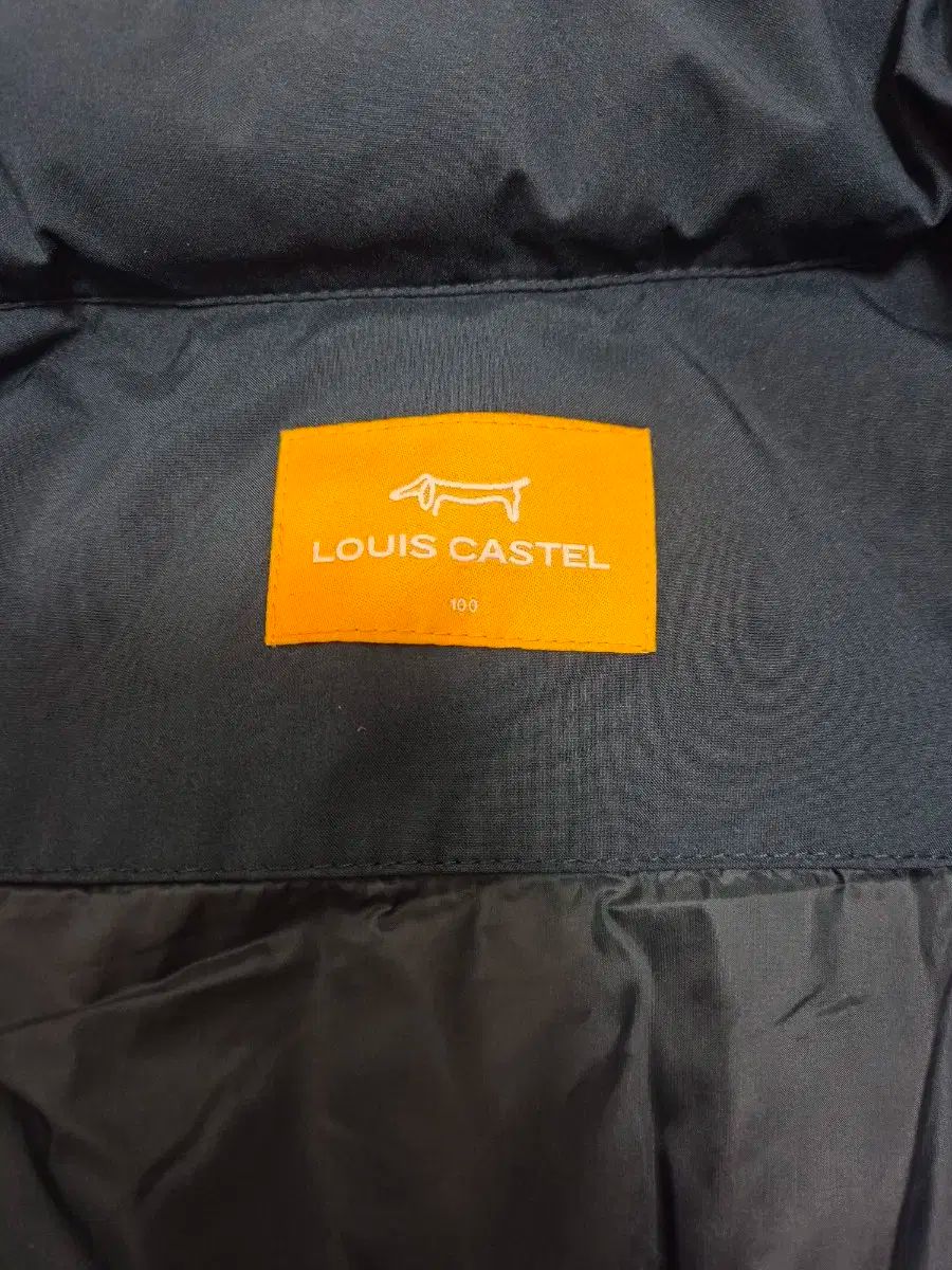 メンズ ダックダウン