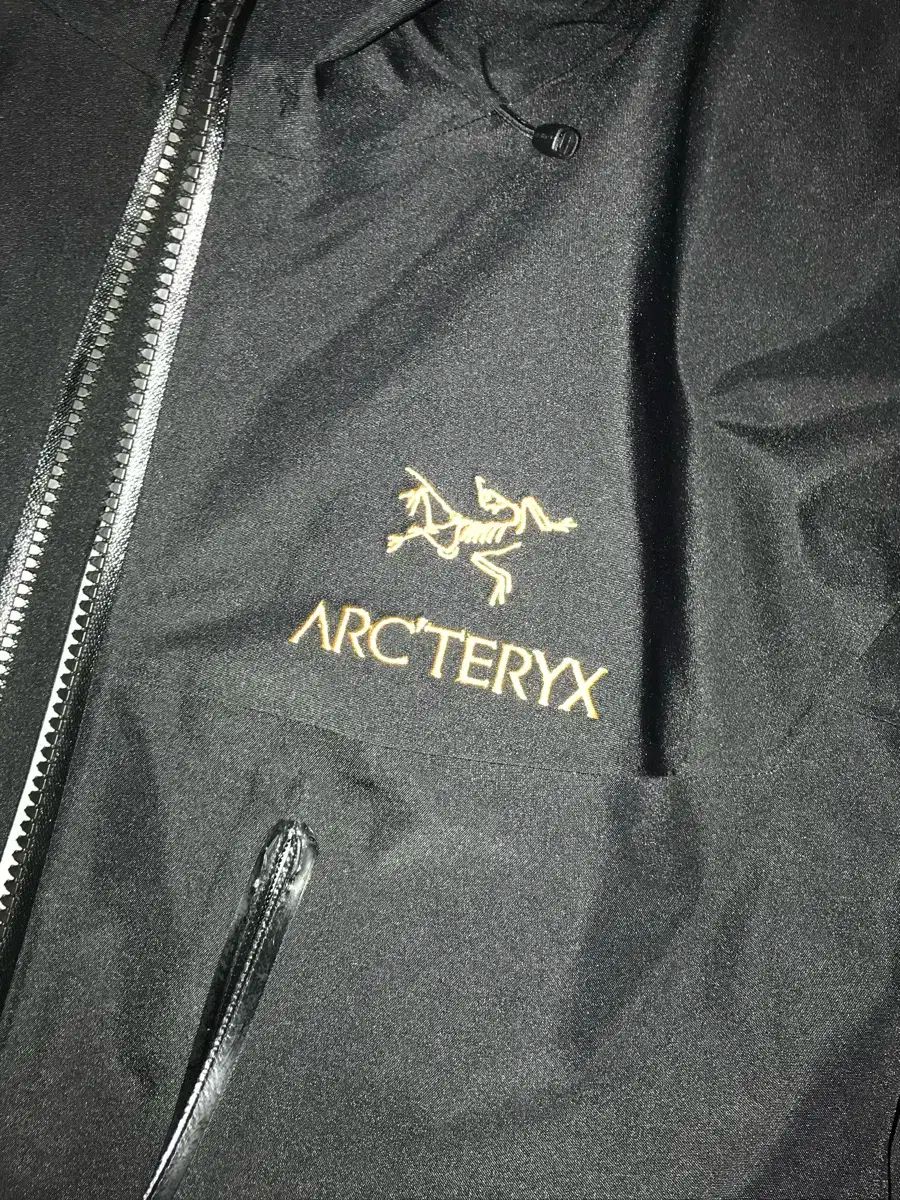ARC TERYX アークテリクス アルファ SV ジャケット 24K ブラック