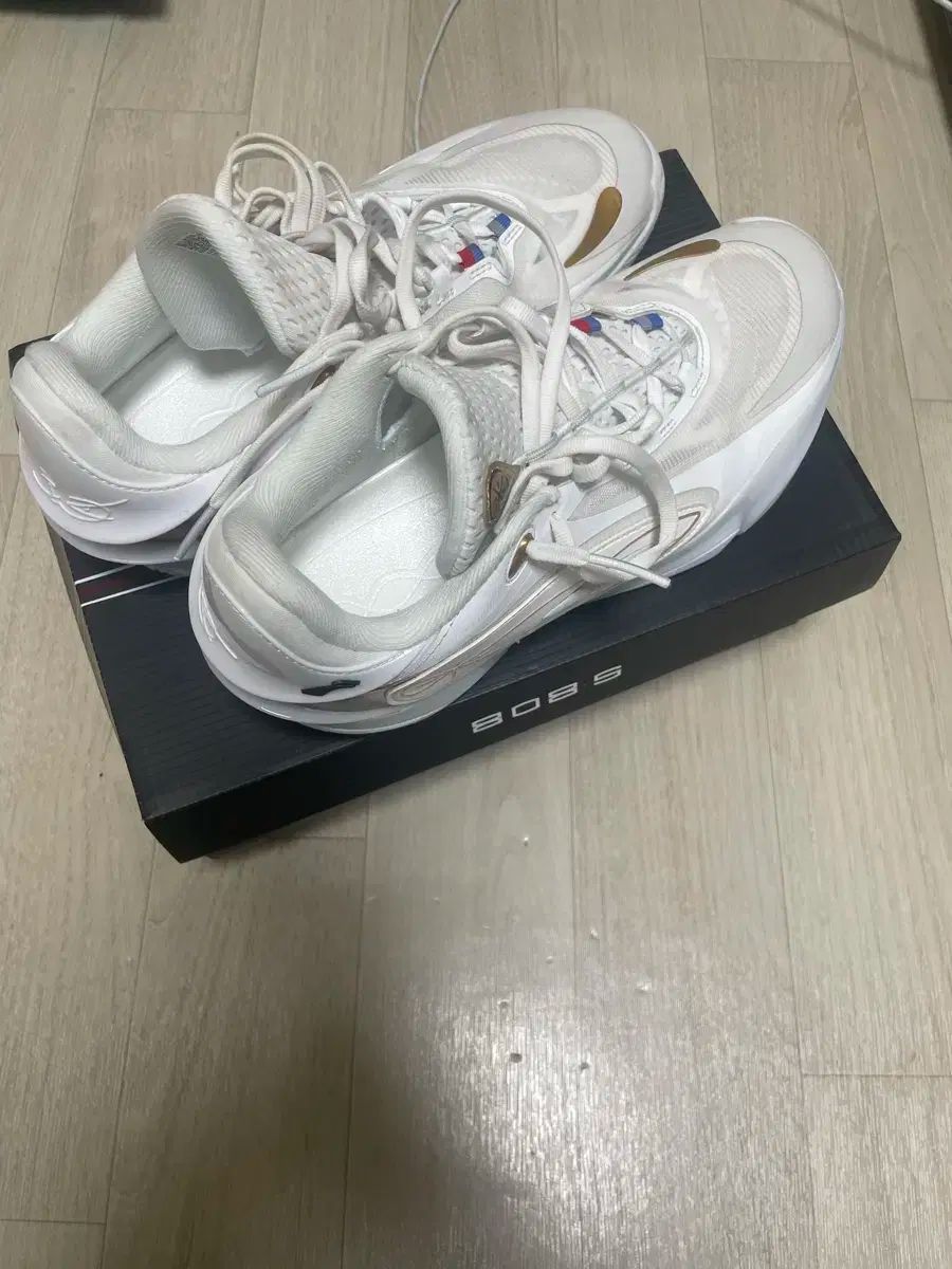  ウェイ オブ ウェイド バスケシューズ シューズ(男性用) バスケットボール