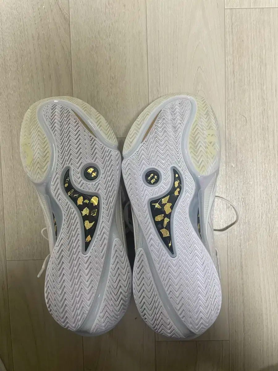 ウェイ オブ ウェイド バスケシューズ