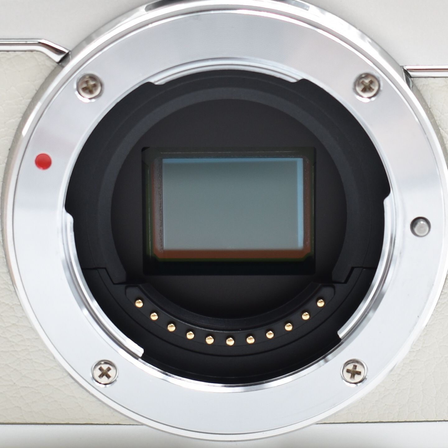  B 9944 OLYMPUS PEN E PL 7 EZダブルズームキット ホワイト ミラーレス一眼 EZ DZKIT WHT ミラーレス一眼 デジタルカメラ