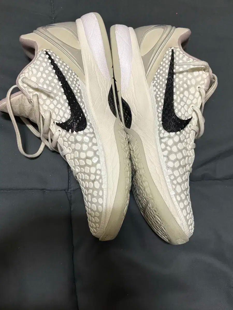  ナイキ コービー6 プロトロ バスケシューズ 265 シューズ(男性用) バスケットボール