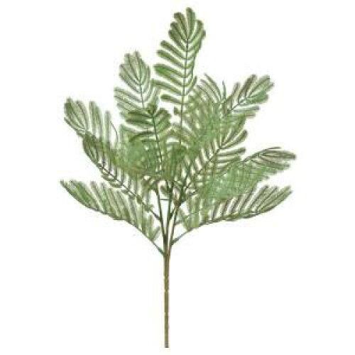 3営業日で発送 アスカ Asca エバーフレッシュ A-44457-051A 入数 18