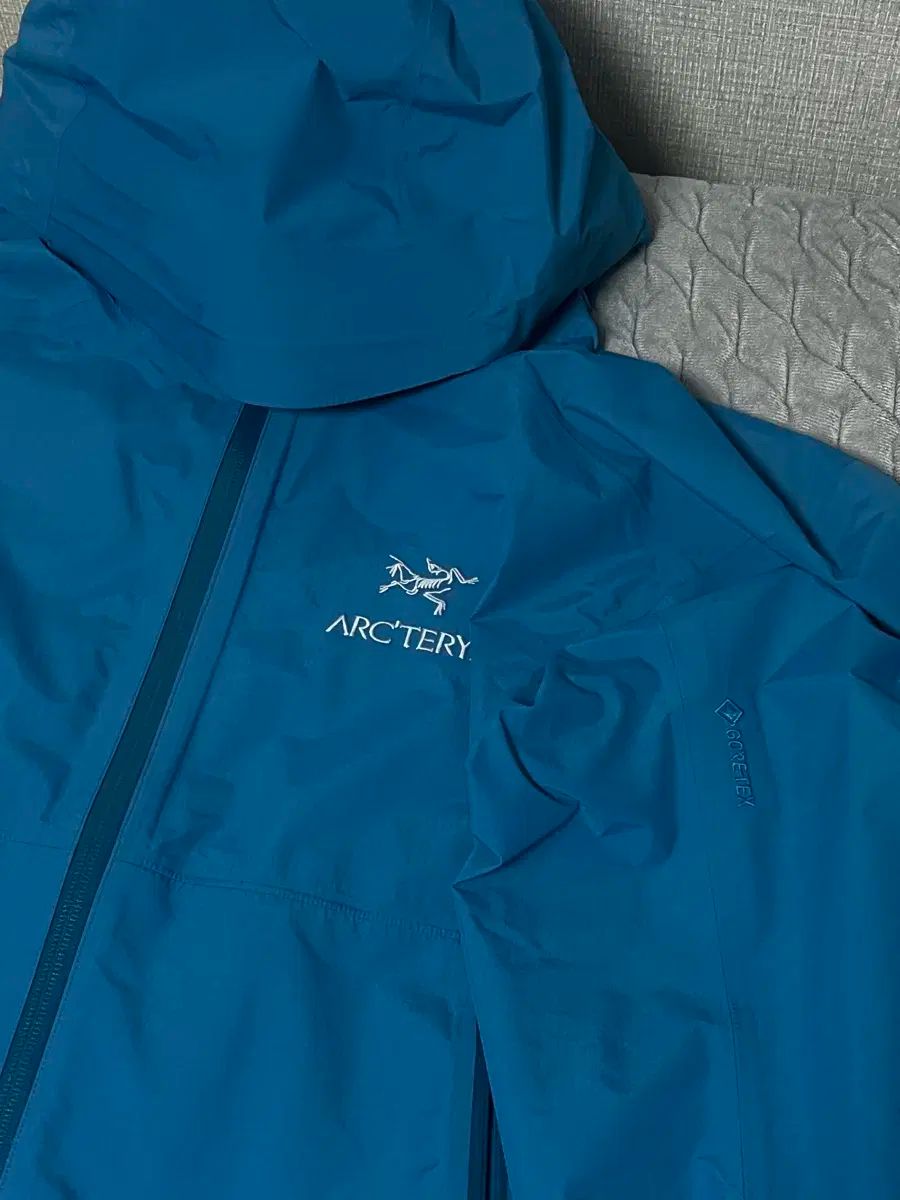 ARC TERYX アークテリクス ZETA SL プレ ネティック